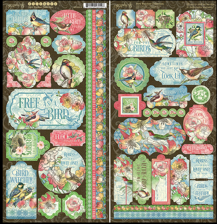 Thumbnail: Bird Watcher 12x12 Collection Pack