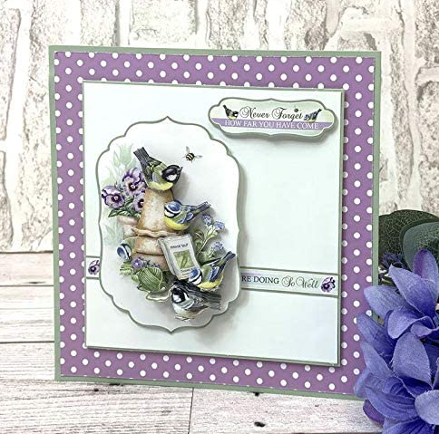 Thumbnail: Beautiful Birds Decoupage Book