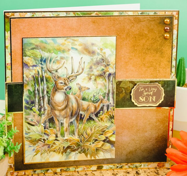 Thumbnail: The Little Book of Animal Kingdom Second Season