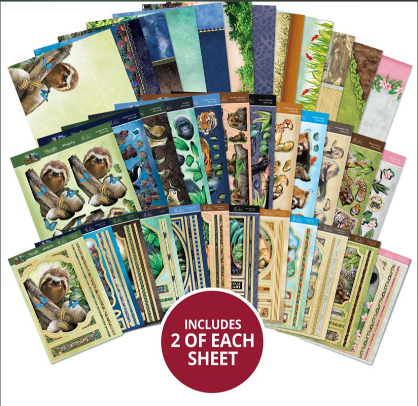 Into the Wild Designer Deco-Large Collection