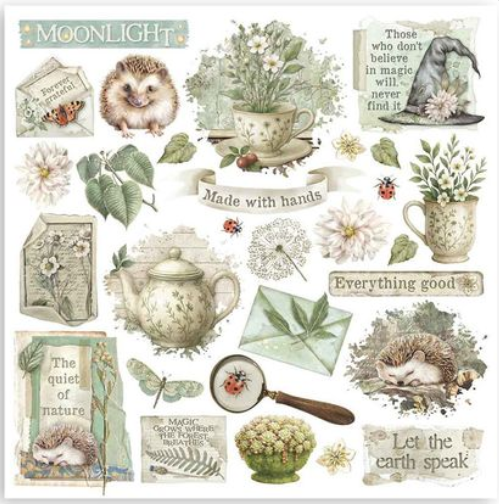 Thumbnail: Herbarium Silvae Rub-On Set