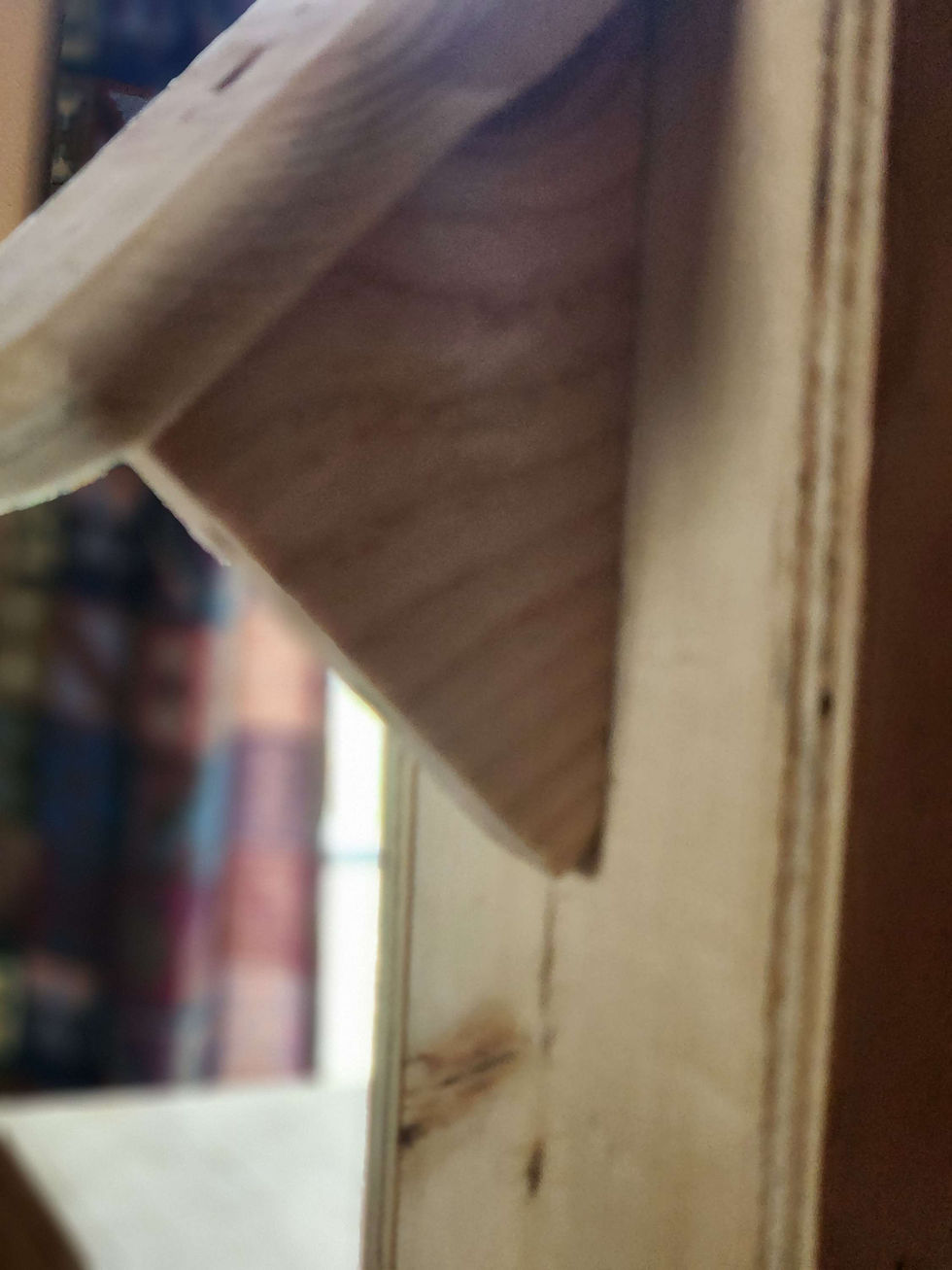 Thumbnail: Goat disudding headpiece used for safe, secure livsestock disbudding - side closeup