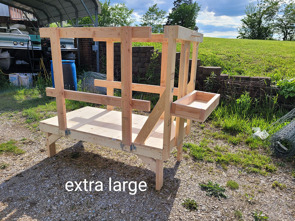 Thumbnail: Handcrafted wooden goat milk stand with adjustable stanchion and sturdy base with rail addon in X-Large