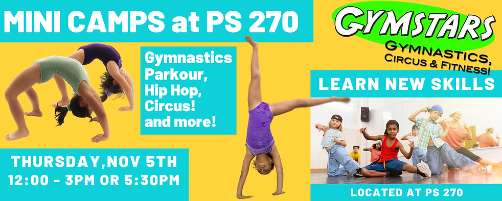 PS 270 (8.5 x 9 in) (5 x 2 in) (3).png
