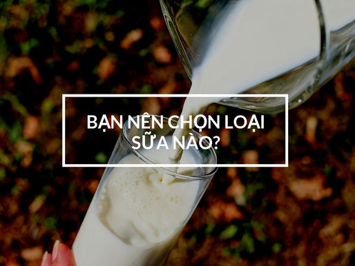 Loại sữa nào là tốt nhất?