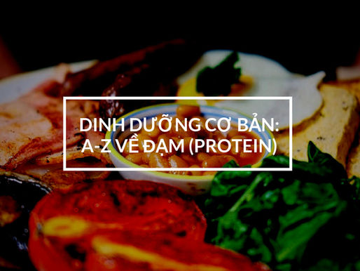 Tất cả những điều bạn cần biết về ĐẠM (PROTEIN)
