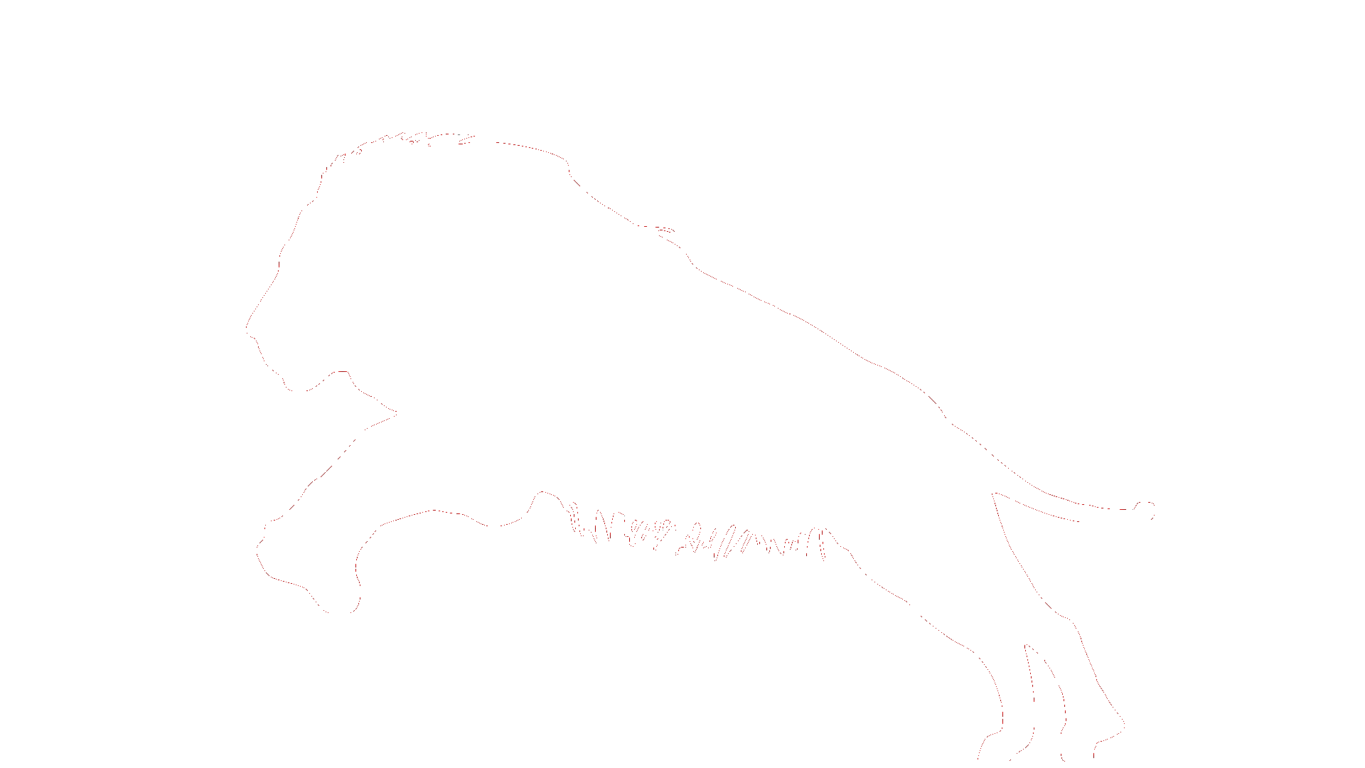 lion site.gif