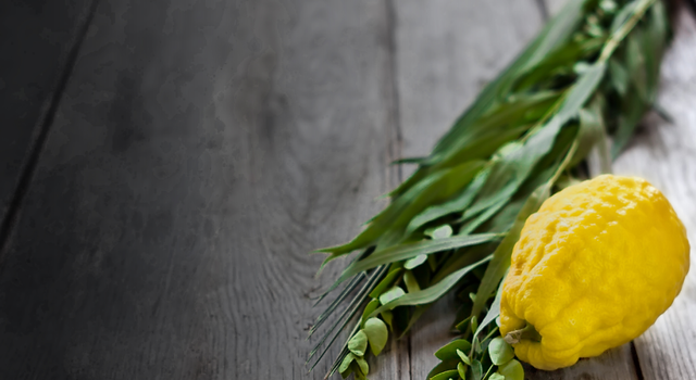 Copie de Sukkot_LSF.png