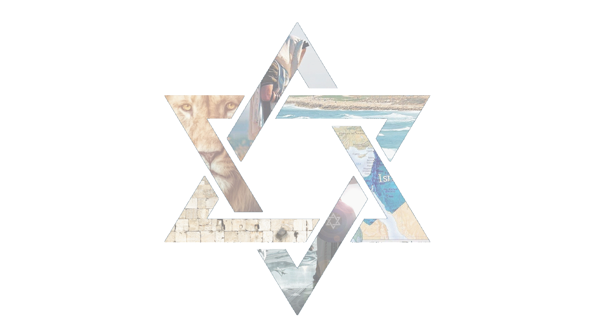 Copie de Sans titre 1.gif