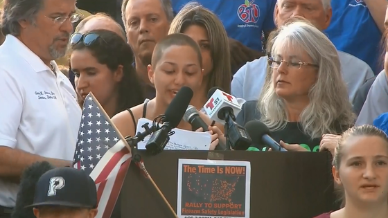 About The Parkland Shooting