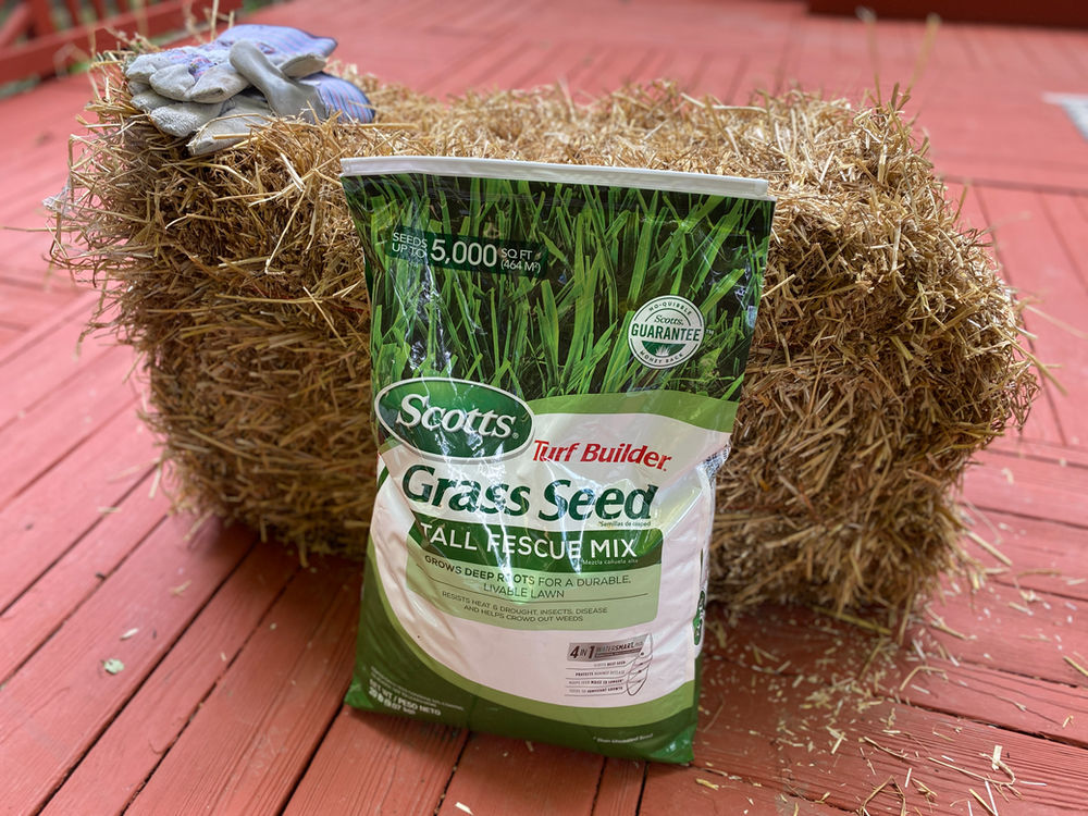 Grass Seeding Series Pt 2 Laying Grass Seed on Slope (Video included)