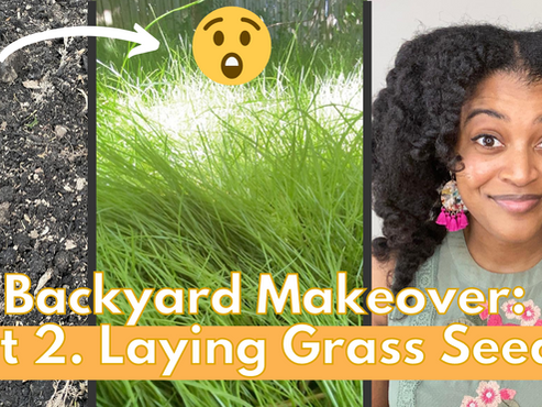 Grass Seeding Series: Pt 2 - Laying Grass Seed on Slope
