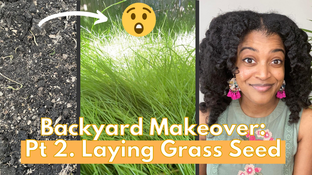 Grass Seeding Series Pt 2 Laying Grass Seed on Slope (Video included)