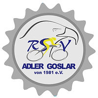 neues RSV Logo_vektor.jpg