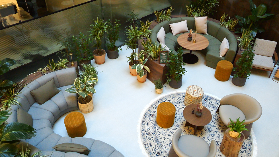 Cozy seating area with gray and green sofas, surrounded by lush potted plants. Round tables, patterned rugs; a sign reads "Tech Free Zone."