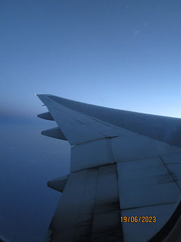 IMG_5878.JPG