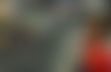 kid looking at model train