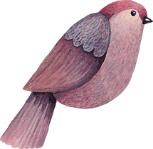 鳥