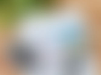 厚生労働省 令和7年度障害者総合福祉推進事業の調査に協力しました