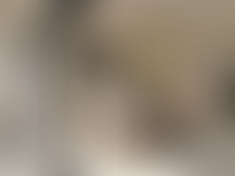 ¿PREVENTA EN TULUM? No inviertas en preventas en Tulum sin conocer esta información: