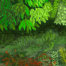 2024 - Koi Pond National Gardens Athens