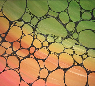 neuro acryl 1_edited.jpg