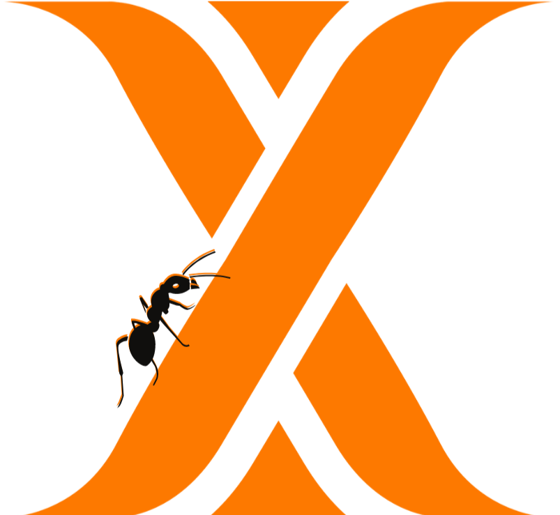 Singapore Pest Control XTerminate Pest Control Efficient Pest Control