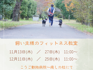 癒しの杜「フィットネス教室」11月／12月参加申込受付中！　