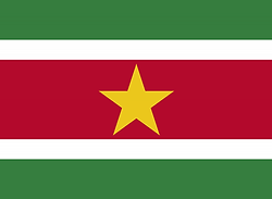 Suriname.png