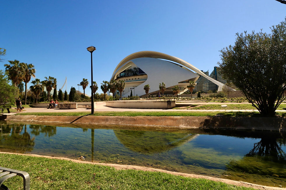 Modern architectural building with curved design, surrounded by palm trees. A tranquil park setting with a reflecting pond under a clear blue sky.