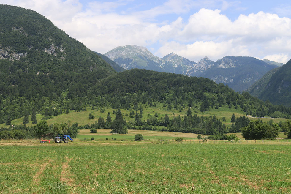 Blue tractor mows a green meadow in a mountain valley under cloudy sky, with forested slopes and rocky peaks.