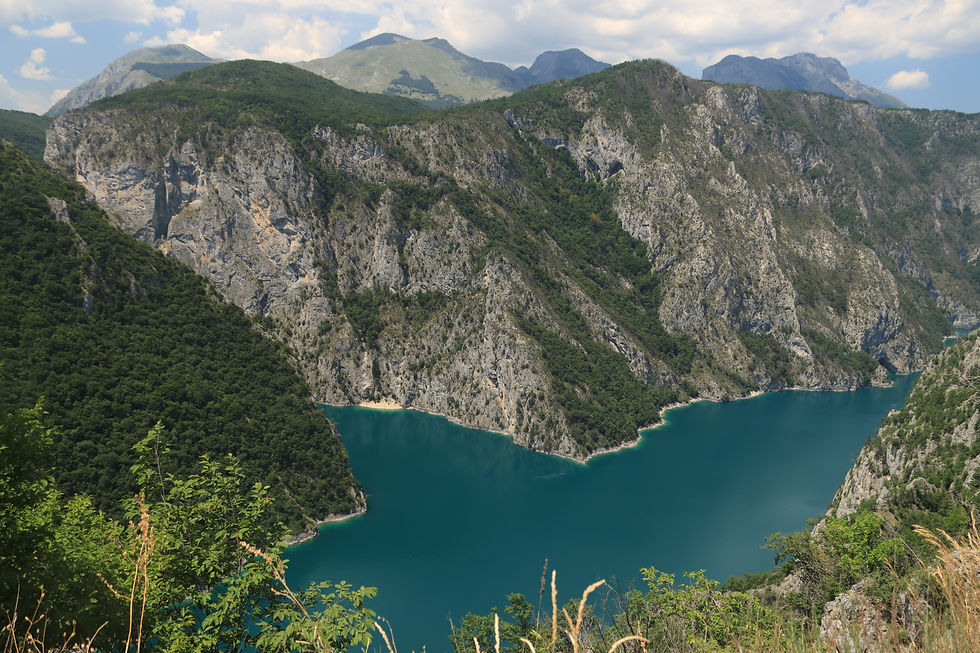 Turquoise mountain lake in a rocky green valley under cloudy sky, viewed from a hillside with foreground plants.