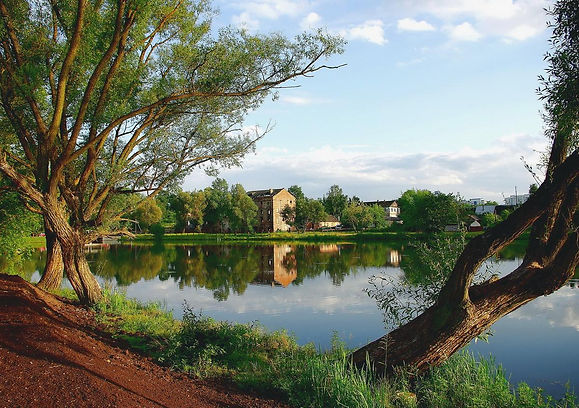 loshickiy-park.jpg