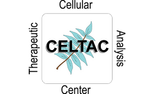 celtac1.png