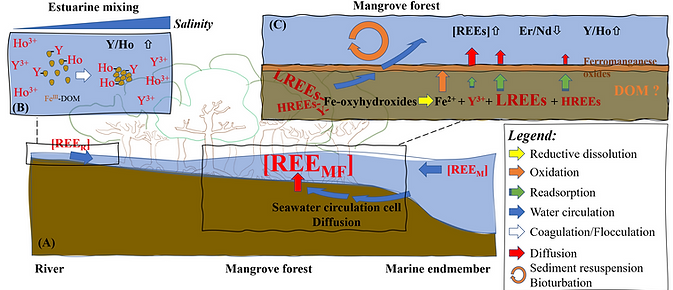 Dang et al. Figure 6.tif