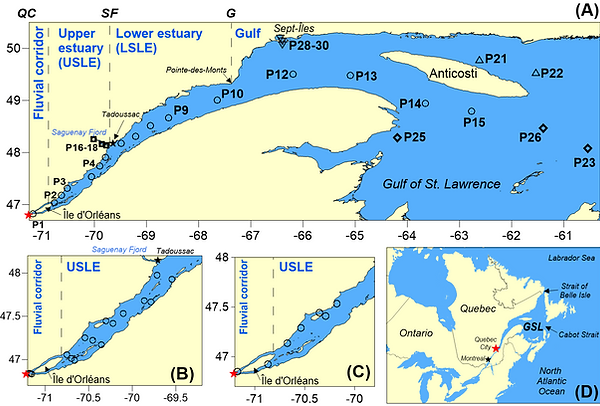 Dang et al. Figure 1.tif