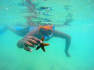 The biological diveristy of our coastal waters is immense if you just take a look_edited.j