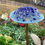 Thumbnail: Glass Garden Mushroom
