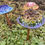 Thumbnail: Glass Garden Mushroom