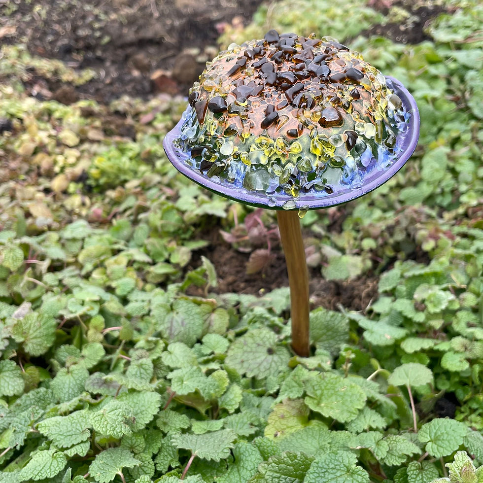Thumbnail: Glass Garden Mushroom