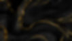 Marble Black & Gold.jpg