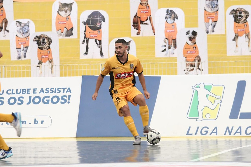 Crédito: Guilherme Mansueto - Torcida pet presente no jogo do Magnus contra o Minas