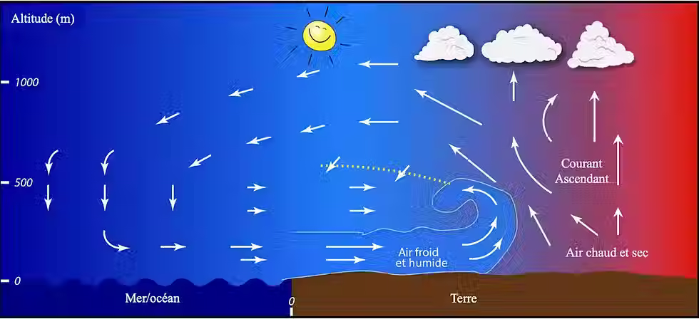 Schéma explicatif sur la brise thermique