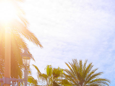 O verão, associado ao elemento Fogo no Feng Shui, representa uma energia de luz, expansão e vitalidade.