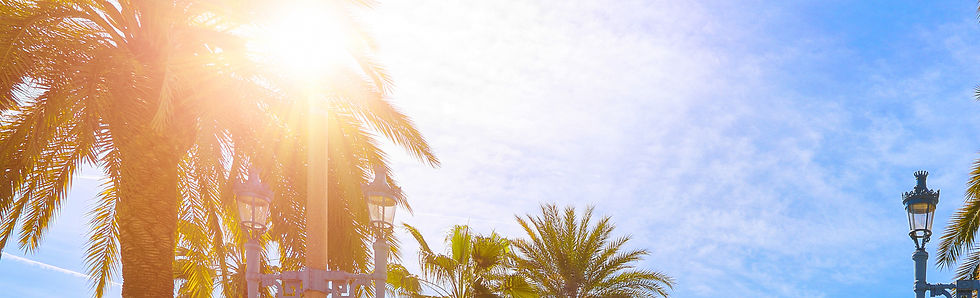 O verão, associado ao elemento Fogo no Feng Shui, representa uma energia de luz, expansão e vitalidade.