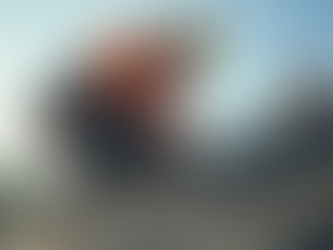 Dynamic Roofing Company: Experts in Residential and Commercial Roofs