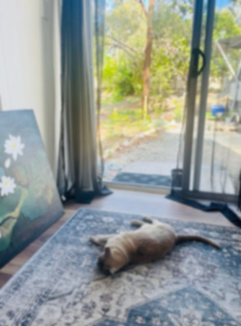 Puddy Office.jpg
