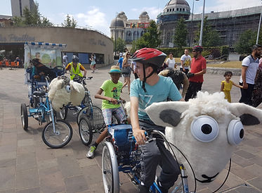 bradford festival 2018.jpg