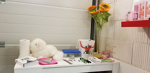 workshop katvriendelijke vachtverzorging