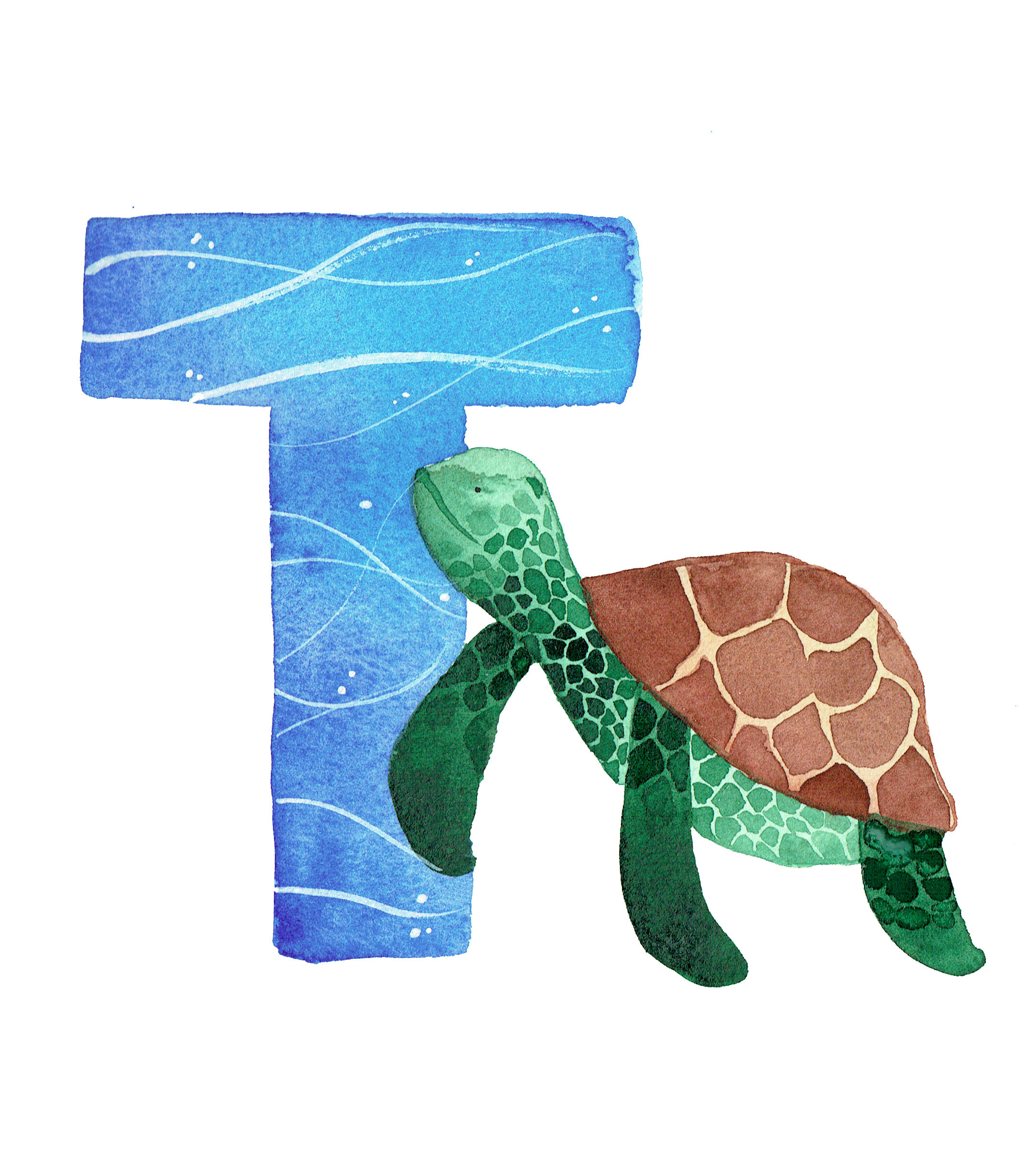 T is for Turtle Fine Art Print